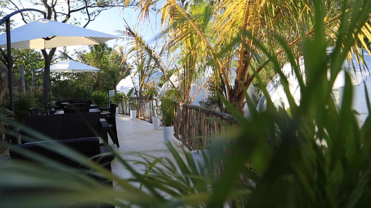Glamping Tulum With Private Mini Pool Hotel Ngoại thất bức ảnh