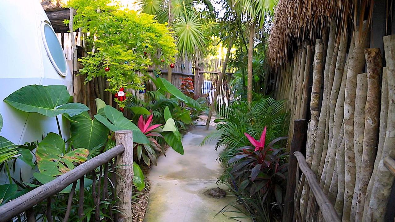 Glamping Tulum With Private Mini Pool Hotel Ngoại thất bức ảnh